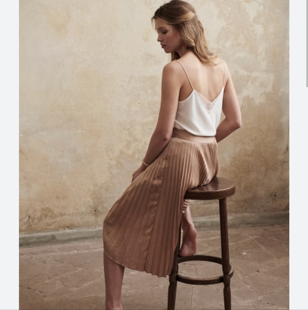 NWT Dino Skirt Champagne 36